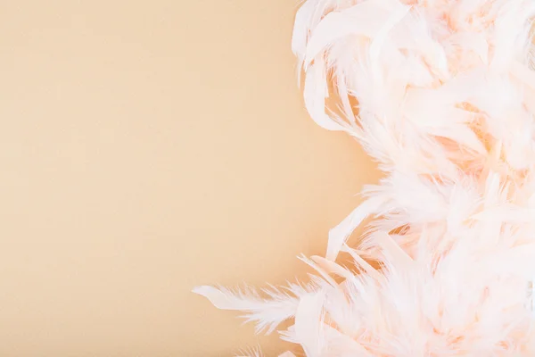 Eşarplı sarı arka plan