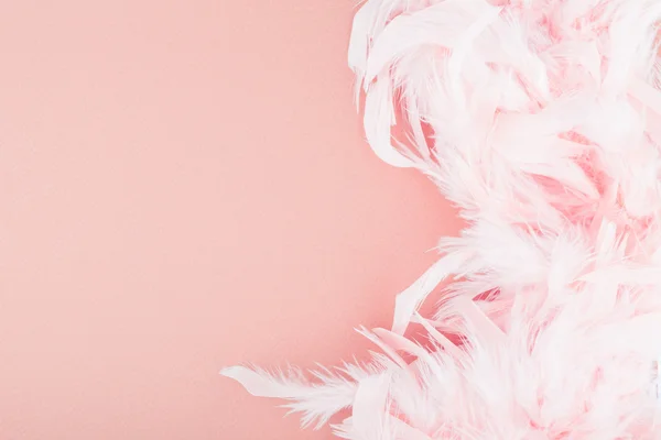 깃털으로 분홍색 배경 — 스톡 사진