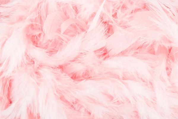 pembe tüyler arka plan