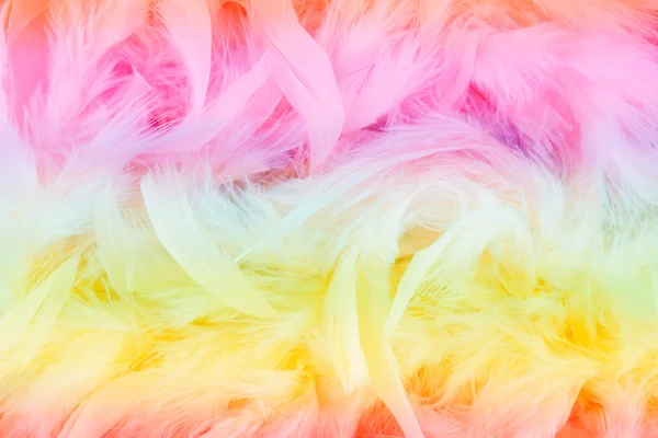 Gökkuşağı tüyler arka plan