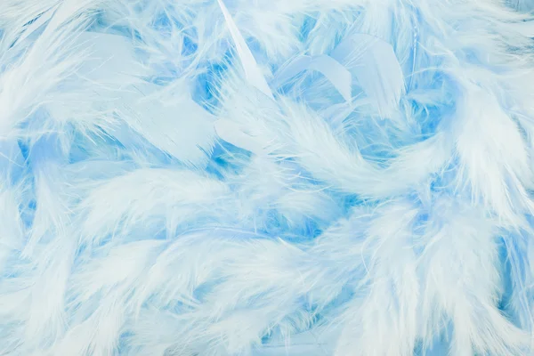 Blue feathers background — Stock Photo, Image