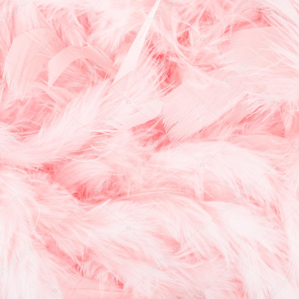 Pink feathers background Stock Photo by ©lanalight 100443162