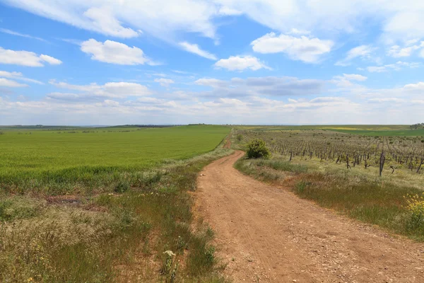 kırsal yol ile manzara