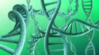 DNA iplik döndürme