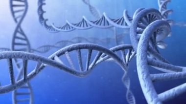 dna iplikçiklerin dönen 3d animasyon. İlmekledi.