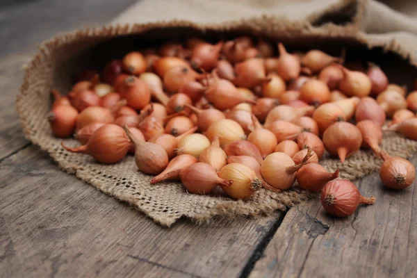 Small onions in a bag — Stock Photo, Image