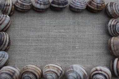 Keten kumaş üzerine salyangoz kabukları