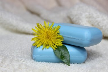 Doğal el yapımı Sabun ve çiçek bir karahindiba.