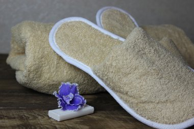 Terlik ve bir havlu.