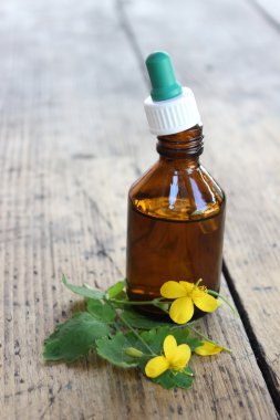 Eczane cam şişe ve çiçek kırlangıçotu