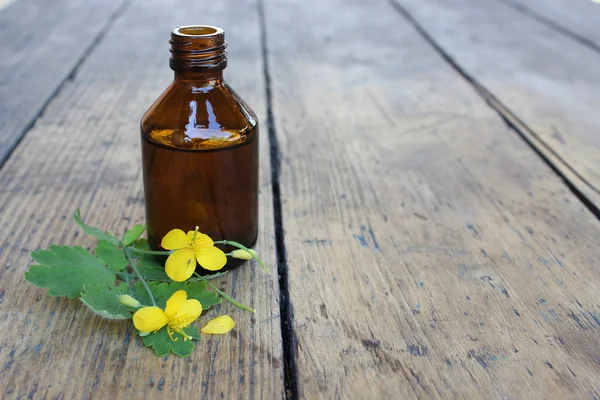 Аптека стеклянная бутылка и цветочный селандин — стоковое фото