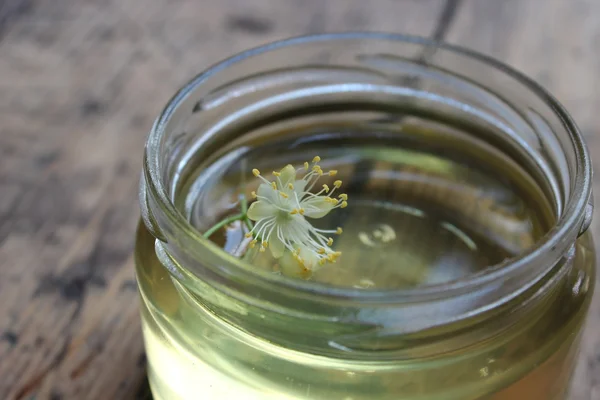 Линден цветок и мед — стоковое фото