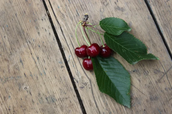 Berries cherries on the twig — Stock Photo, Image