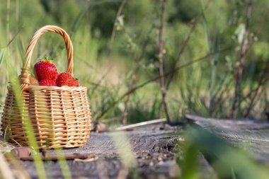 sepet içinde olgun çilek