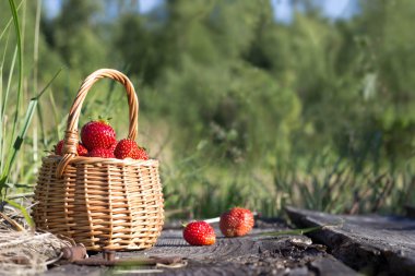 sepet içinde olgun çilek