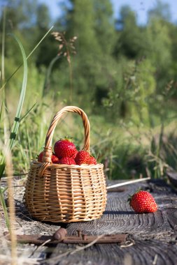sepet içinde olgun çilek