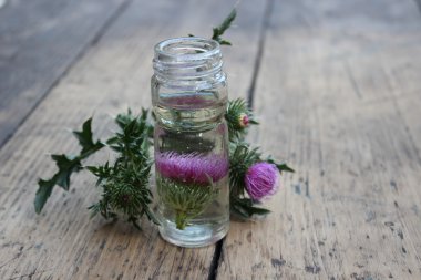 Thistle yağı ile jar
