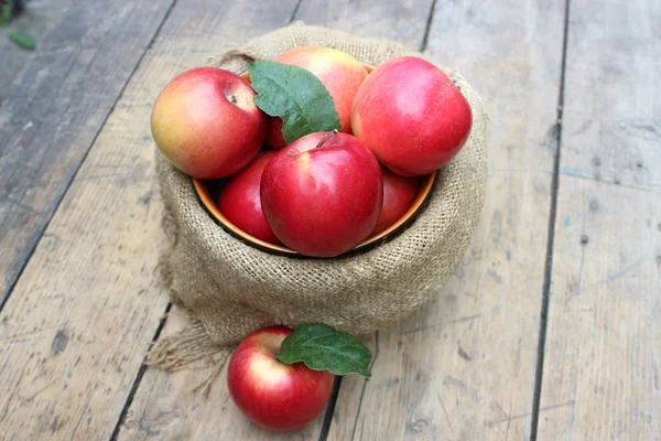 Яблоки лежат в тарелке — стоковое фото