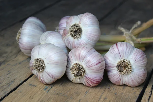 Garlic on wooden boards — Stock Photo, Image
