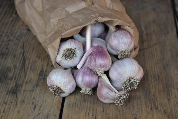 Garlic on wooden boards — Stock Photo, Image