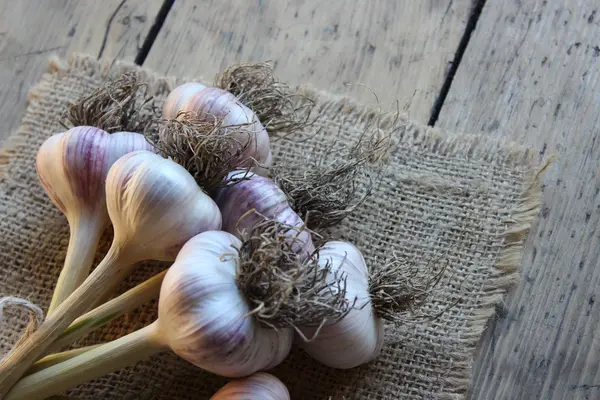 Garlic on sackcloth and boards — Stock Photo, Image