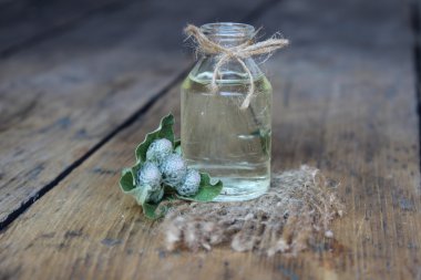 Thistle yağı ile jar