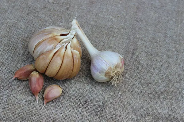 Garlic on a brown burlap background. Agriculture. — Stock Photo, Image