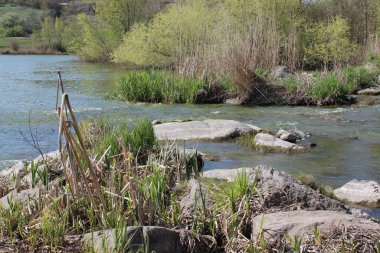 Büyük granit taşlı bir nehir. Steppe. Doğa rezervi