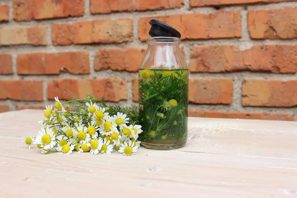 Bouteille Verre Avec Teinture Camomille Sur Fond Planches Murs — Photo