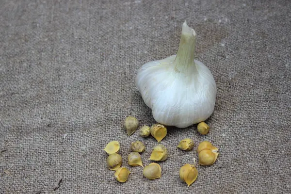 Garlic on a brown burlap background. Agriculture. — Stock Photo, Image