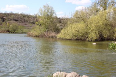 Büyük granit taşlı bir nehir. Steppe. Doğa