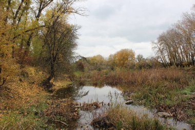 Büyük granit taşlı bir nehir. Steppe. Doğa
