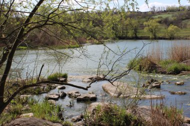 Büyük granit taşlı bir nehir. Steppe. Doğa