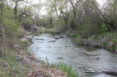 Büyük granit taşlı bir nehir. Steppe. Doğa