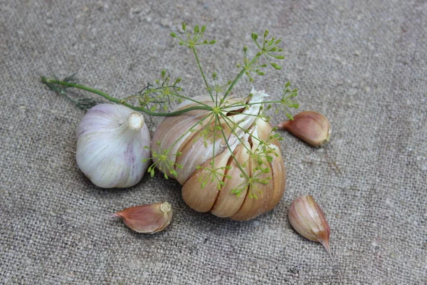 Garlic on a brown burlap background. Agriculture. — Stock Photo, Image