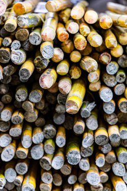 the fresh and vibrant appearance of White Sugarcane