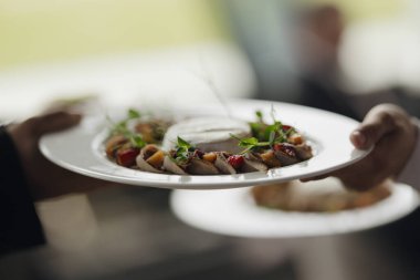 Camembert de Normandie peyniri tabakta yemek süslüyor. Yüksek kalite fotoğraf