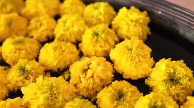 Kutsal bir tören sırasında Asya ruhani ayinlerinde kullanılan parlak sarı çiçekler saflığı, bağlılığı ve ilahi enerjiyle bağlantıyı sembolize eder. Yüksek kalite 4k görüntü