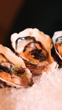 Pahalı şarap ve deniz ürünleri ile servis edilen buzlu istiridyeler.