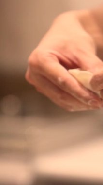 Asya usulü hamur tatlısı, jiaozi shumai har gow tang yuan ve kızarmış köfte guo kravat.