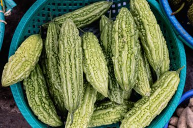 Geleneksel pazarlarda satıcılar tarafından sergilenen sective focua of bitter su kabağı yerel pazarda mavi sepetin üzerinde, Paya sebzeleri satmaya hazır yeşil ve karakteristik bir acı içeriyor. Yüksek kalite fotoğraf