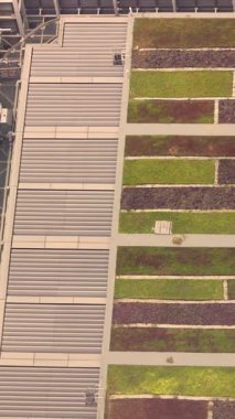 Çevre dostu yüksek binalar çatısı yeşil çimlerle çevrili ve sürdürülebilir mimari ve kentsel çevre tasarımı kavramını temsil eden gökdelenlerle çevrili. Yüksek kalite 4k görüntü