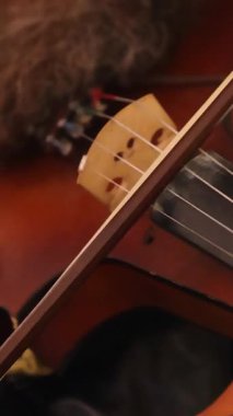 Çalma anında sakallı müzisyenlerin el hareketleriyle keman yayı ve telleri. Yüksek kalite 4k görüntü