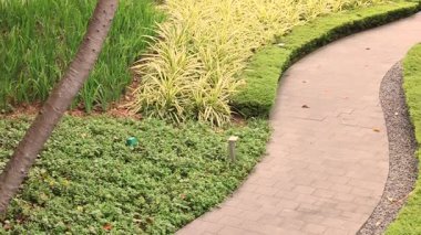 Modern bir şehir ortamında, manikürlü tropik çimlerin arasından taştan bir yaya geçidi esiyor. Yeşillik, temiz yürüyüş yolları ve zarif peyzaj kentsel konfor ve tropikal güzellik hissi yaratıyor. Yüksek kalite 4k görüntü