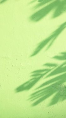 Yeşil boyalı duvardaki palmiye yapraklarının gölgeleri tropikal tatil atmosferi yaratıyor