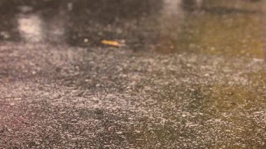 Gökten düşen yağmur damlaları gibi motosikletin tekeri ıslak asfalt üzerinde süzülür. Yüksek kalite 4k görüntü