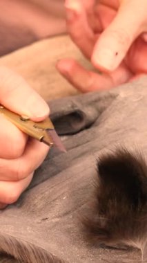 Kürkçü vizon kürkü ve kürk kürkü geleneksel kürk bıçağıyla kesiyor.