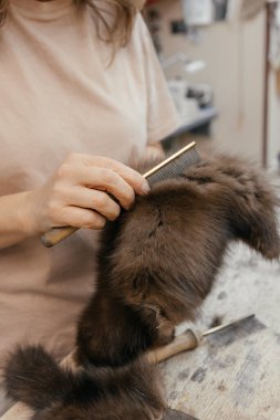 Kürkçü masasında vizon kürk