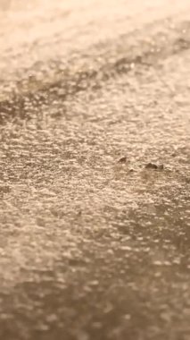 Belediye hizmetleri gece ilk kar yağışı sırasında çalışıyor