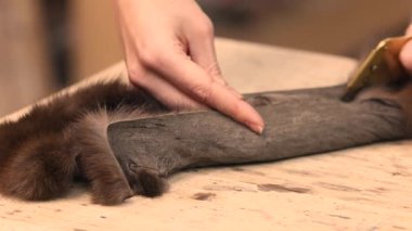 Kürkçü, küçük hayvan postları üzerinde manuel olarak çalışıyor ve ahşap masada kürk manto yapıyor.